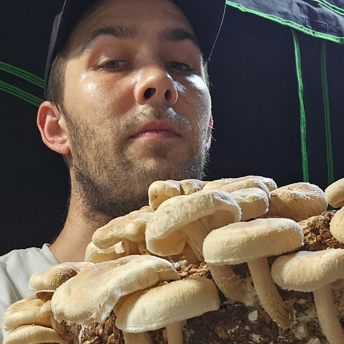 Feast Fungi: From Spore to Supper