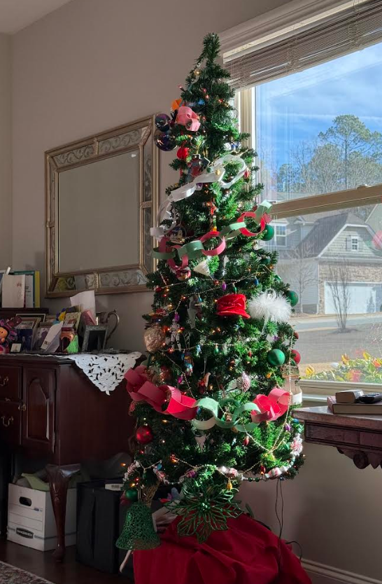 [SoDu How-To] Dispose of Live Christmas Trees