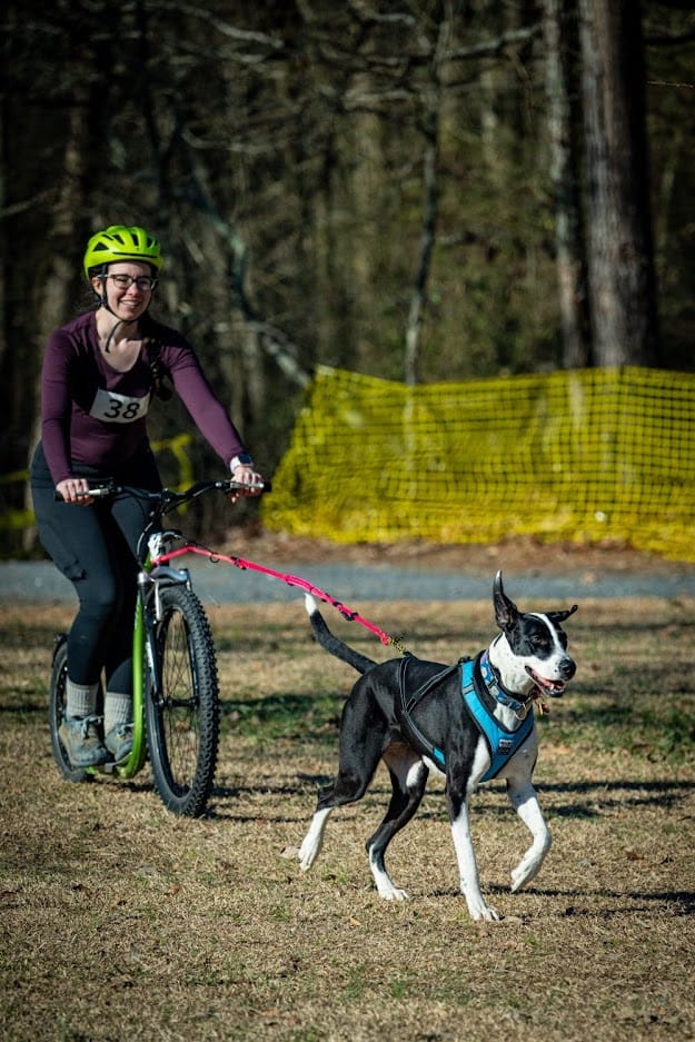 ON THE RUN: Durham Resident Shares Her Love for Canicross